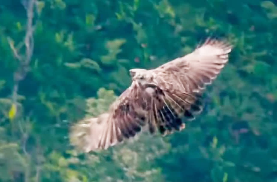 Image from file video via GMA Regional TV One Mindanao