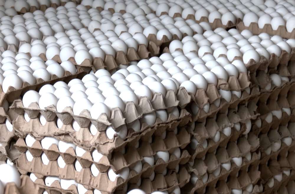 Photo via Balitang Southern Tagalog