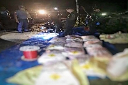 Photo courtesy: PRO-12