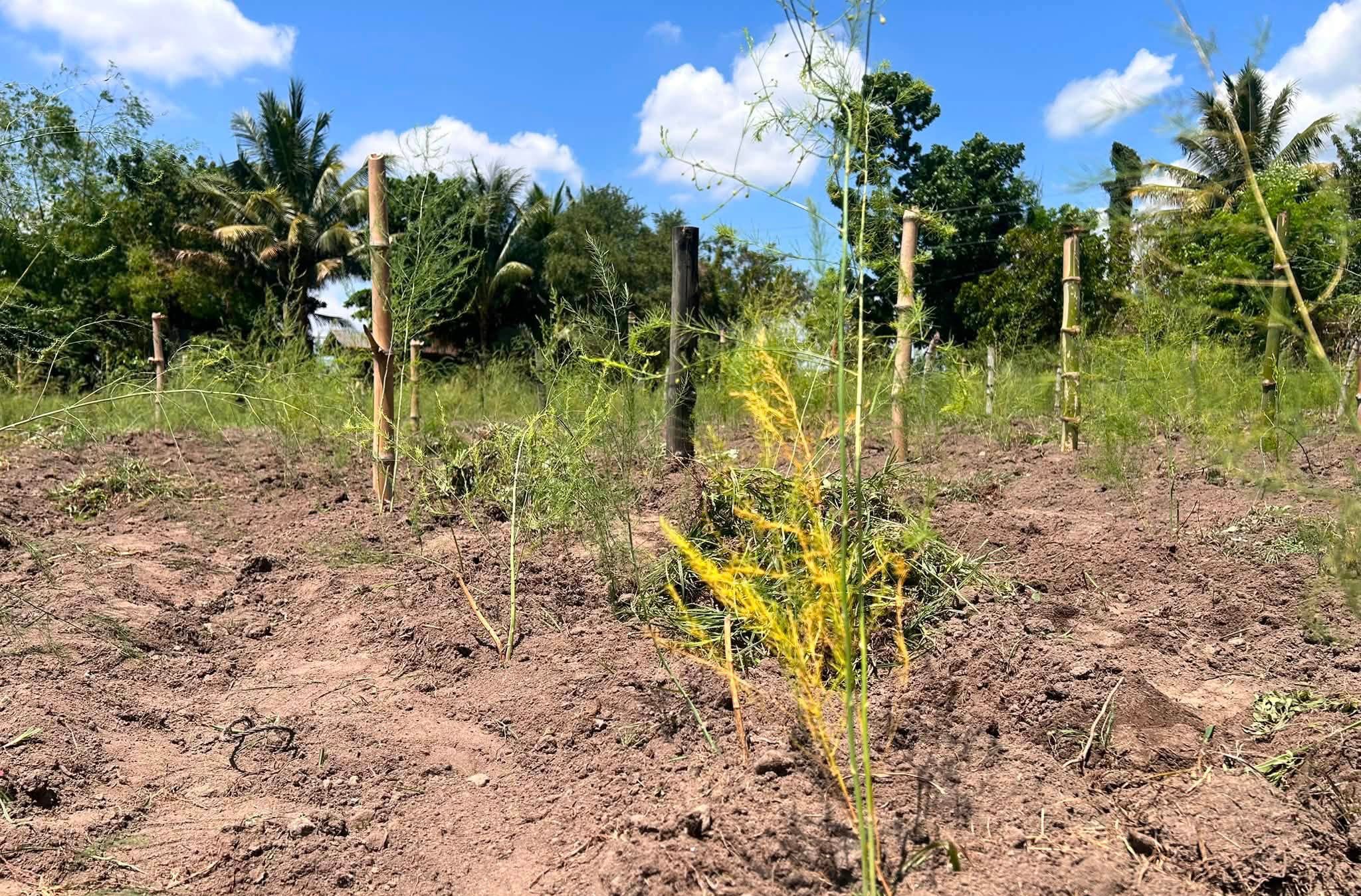 Photo via GMA Regional TV One Mindanao