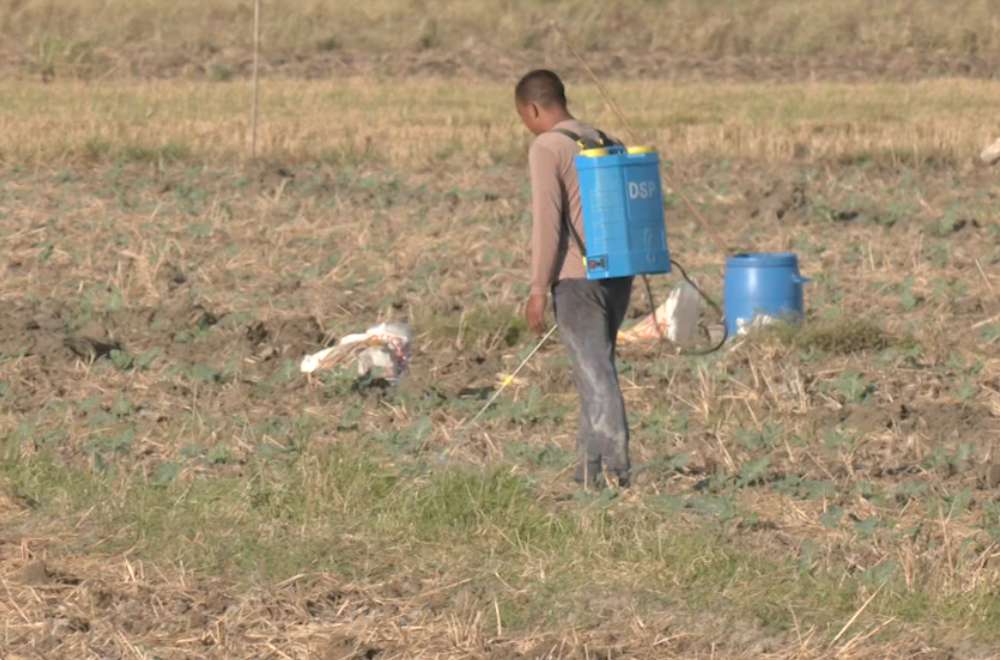 Photo via One North Central Luzon