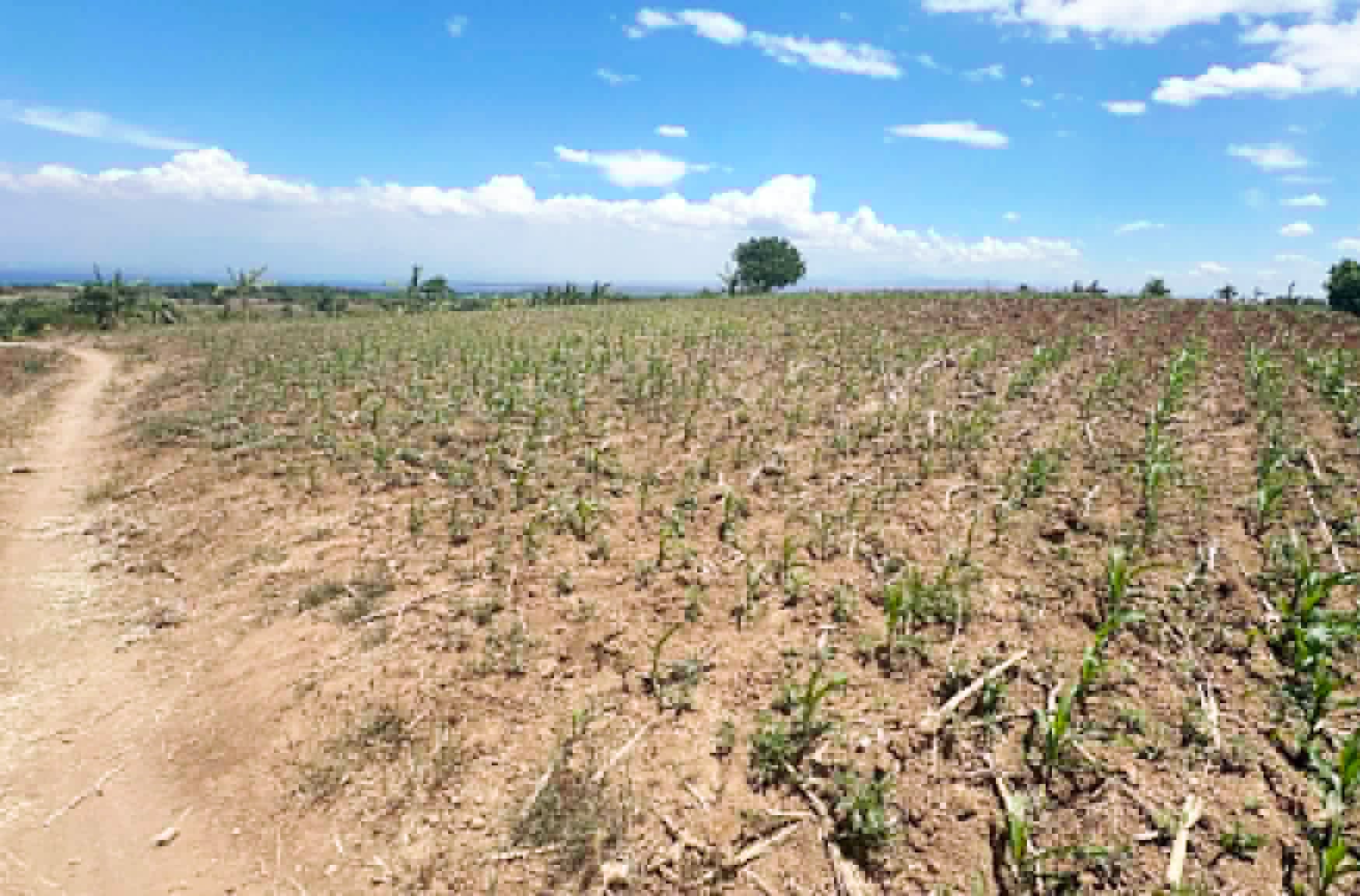 Photo via GMA Regional TV One Mindanao