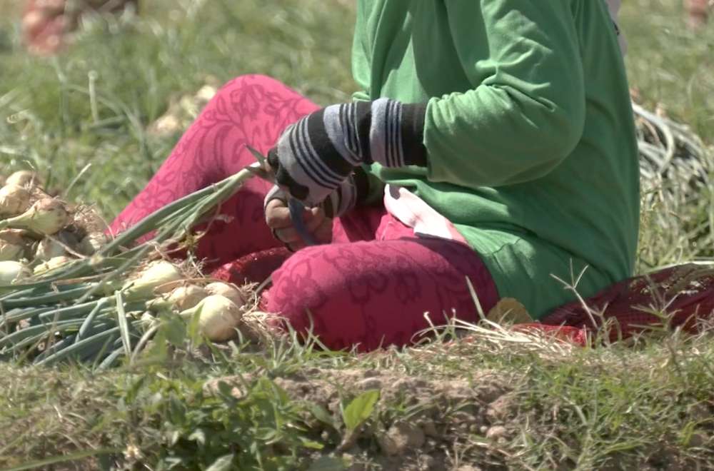 Photo via One North Central Luzon