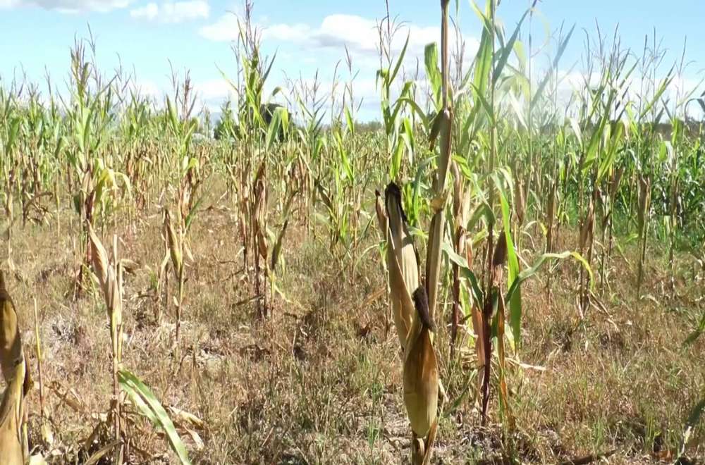 Photo via One North Central Luzon