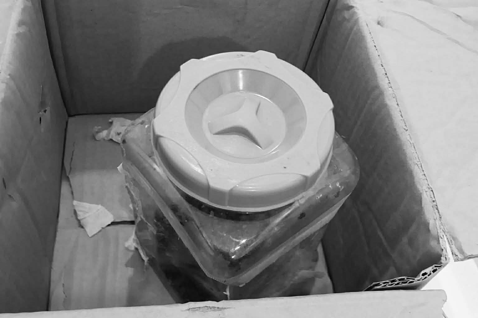 Photo courtesy: BCPC Carmen