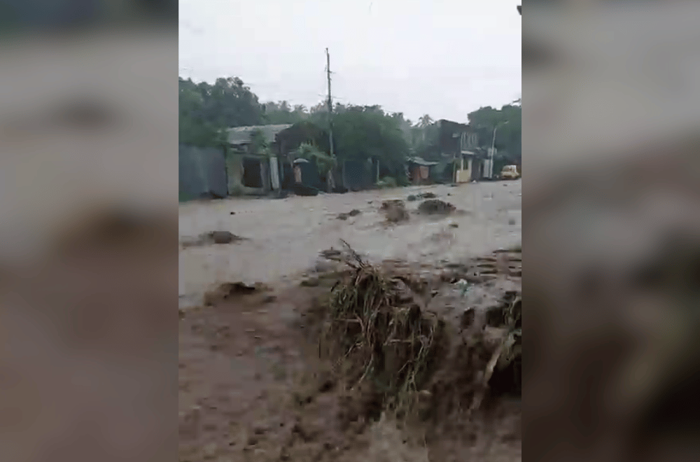 Photo courtesy: Darwen Ocampo Gomez