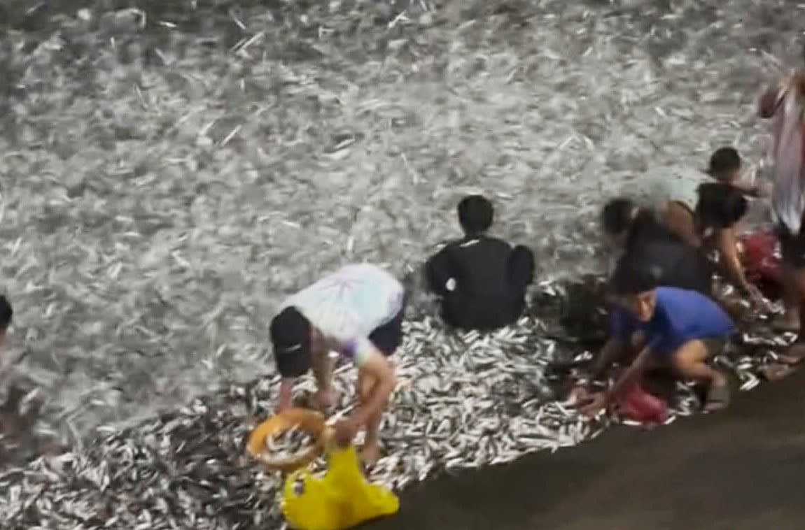 Image from video via Geng Marla Bantilan