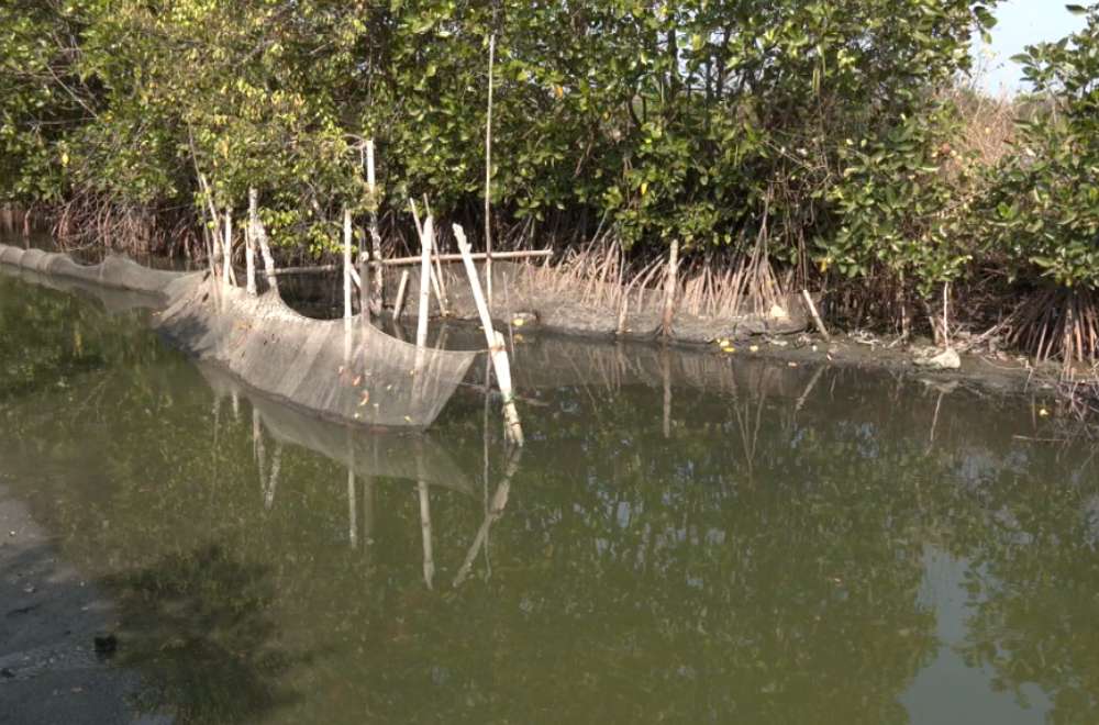 Photo via One North Central Luzon