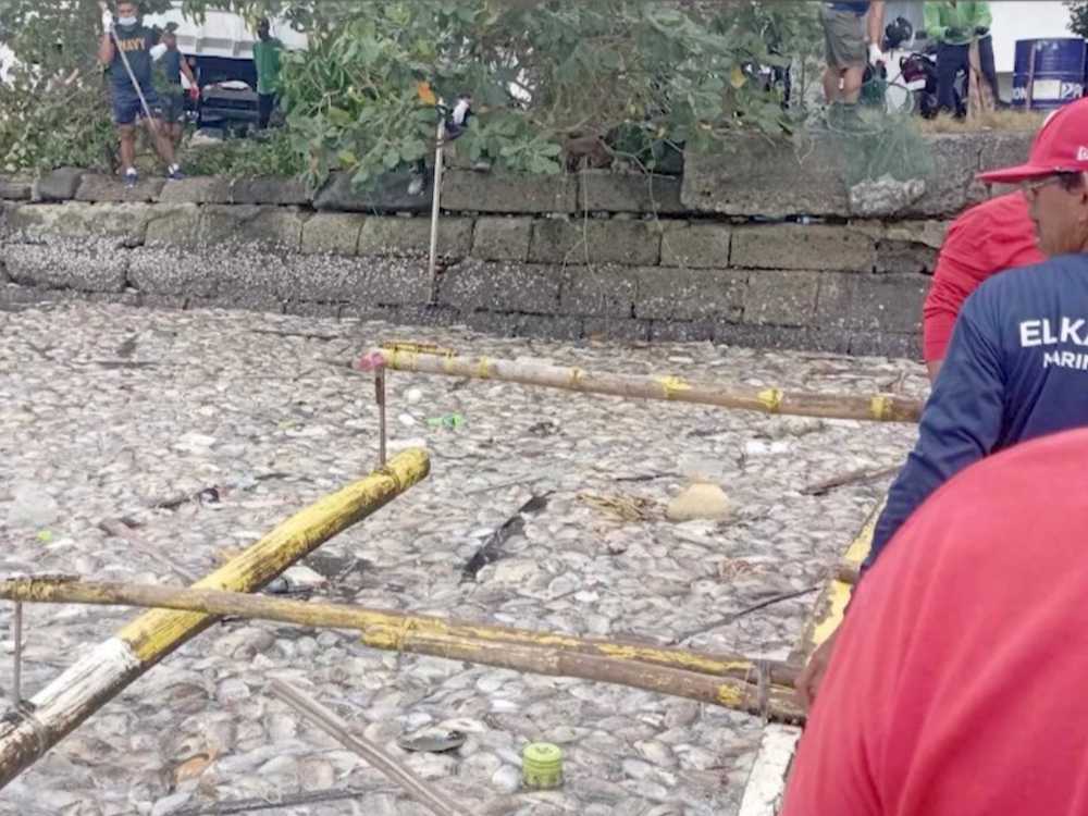 Photo Courtesy of BFAR PFO Cavite City