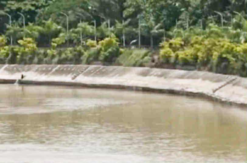 Image from video via GMA Regional TV One Mindanao