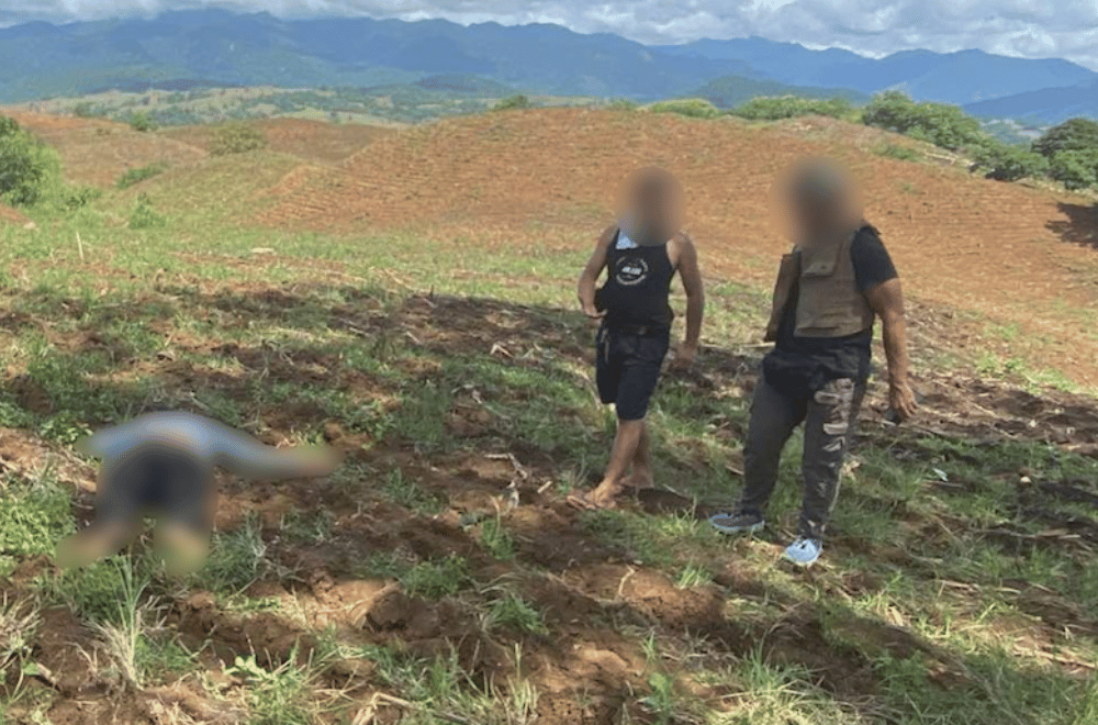 Photo courtesy: PRO-3