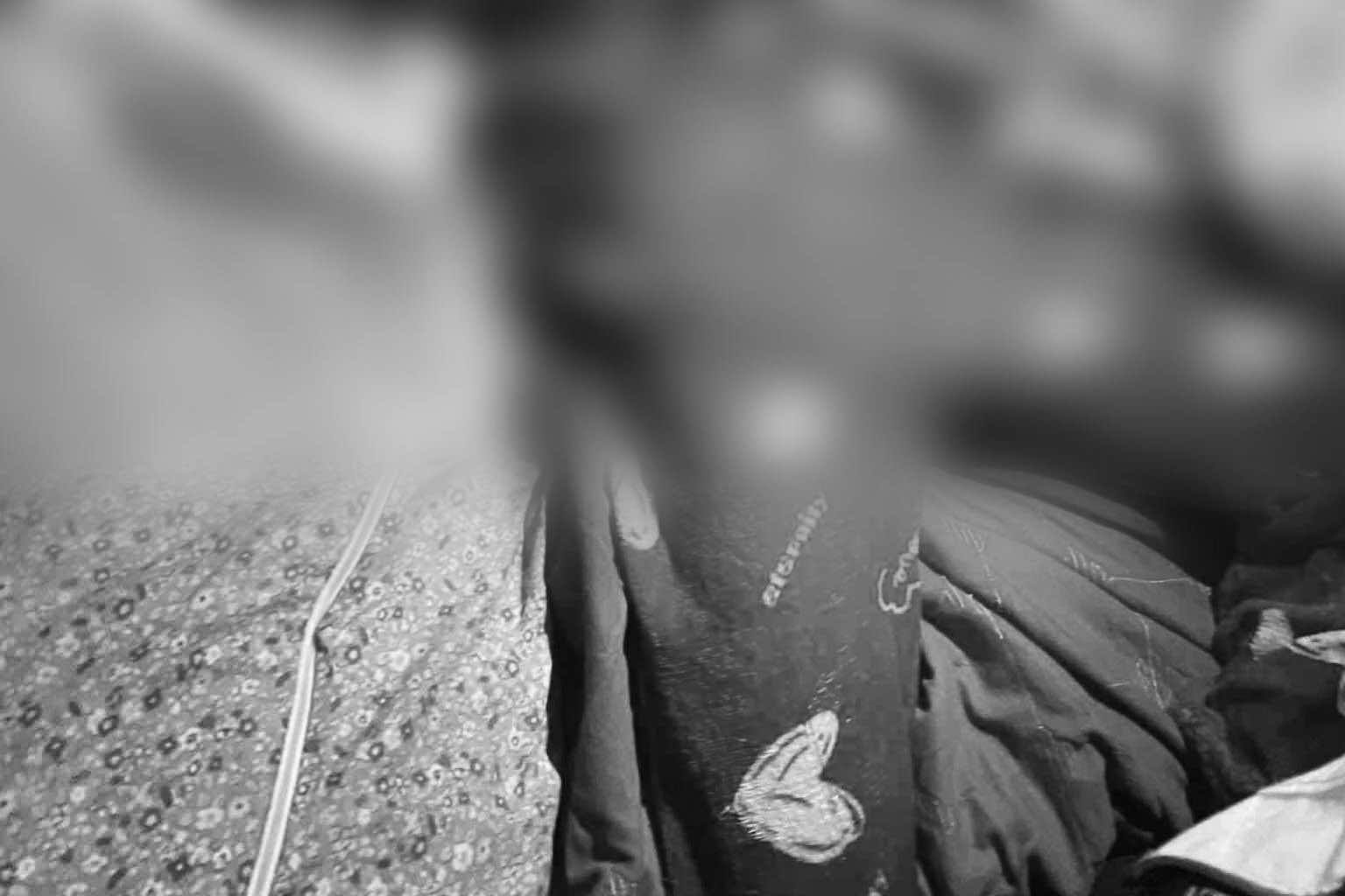 Photo courtesy: PRO-11