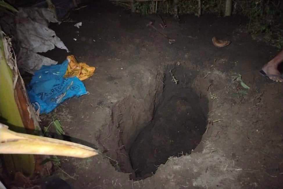 Photo courtesy: PRO-11