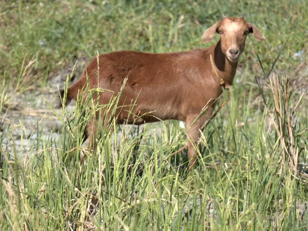 Photo via One North Central Luzon