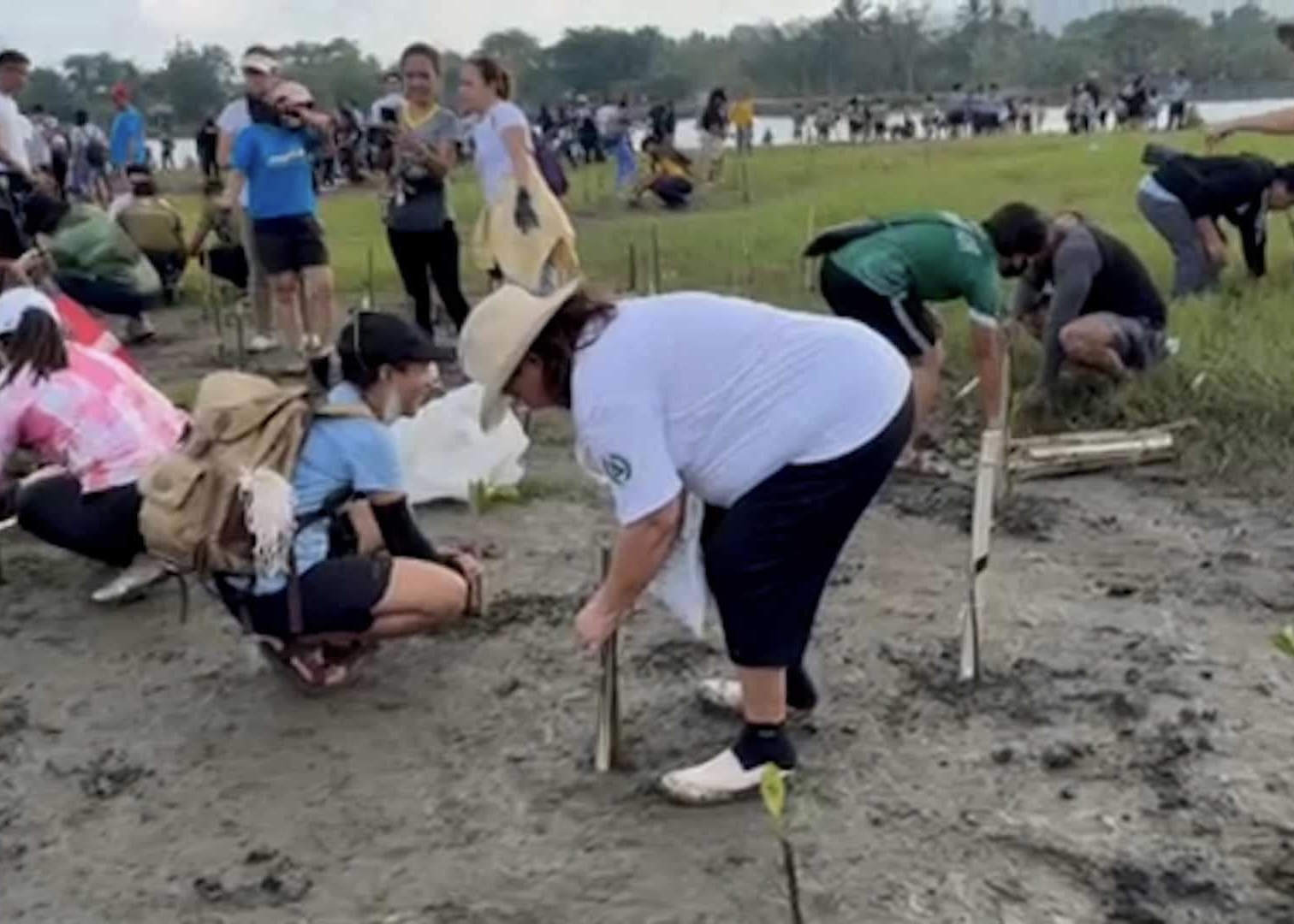 Volunteers join mangrove-growing in Bayug Island, Iligan City