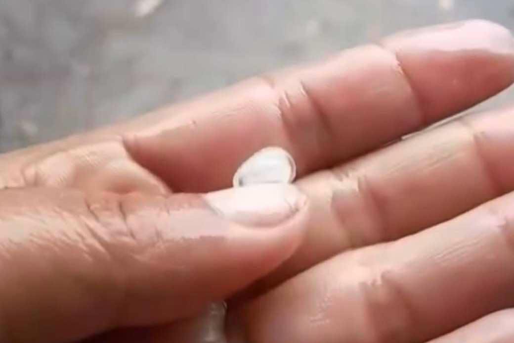 Image from video via Glenrose Cejes
