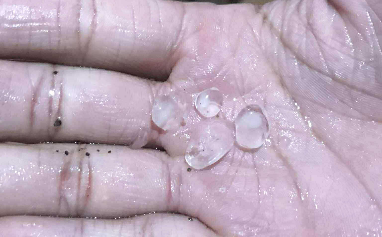 Photo courtesy: Rovyniel Esguerra