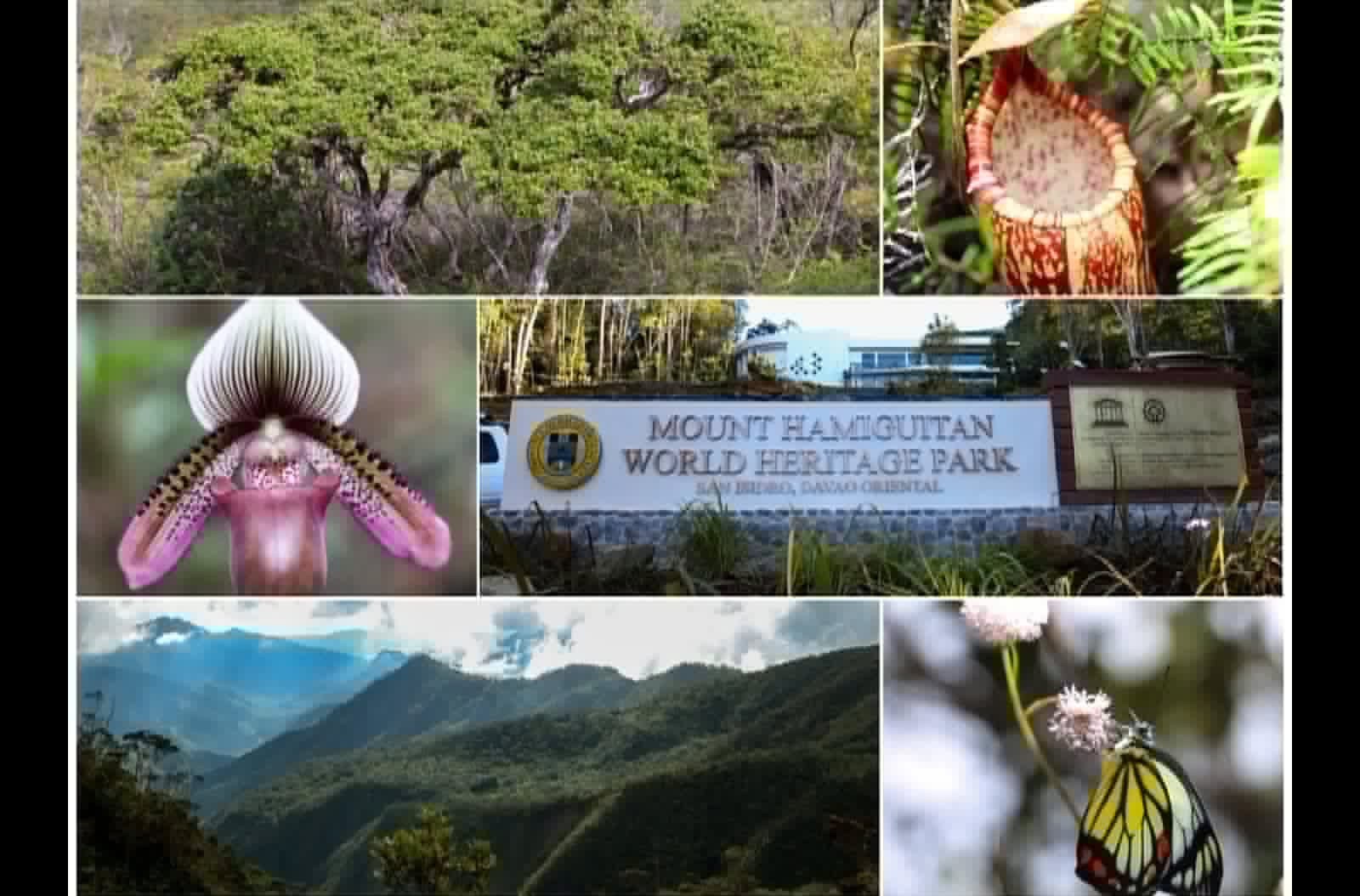 Photo courtesy: DENR-11