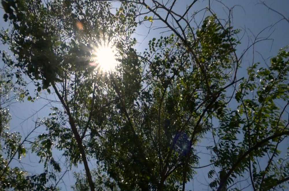 Photo via One North Central Luzon