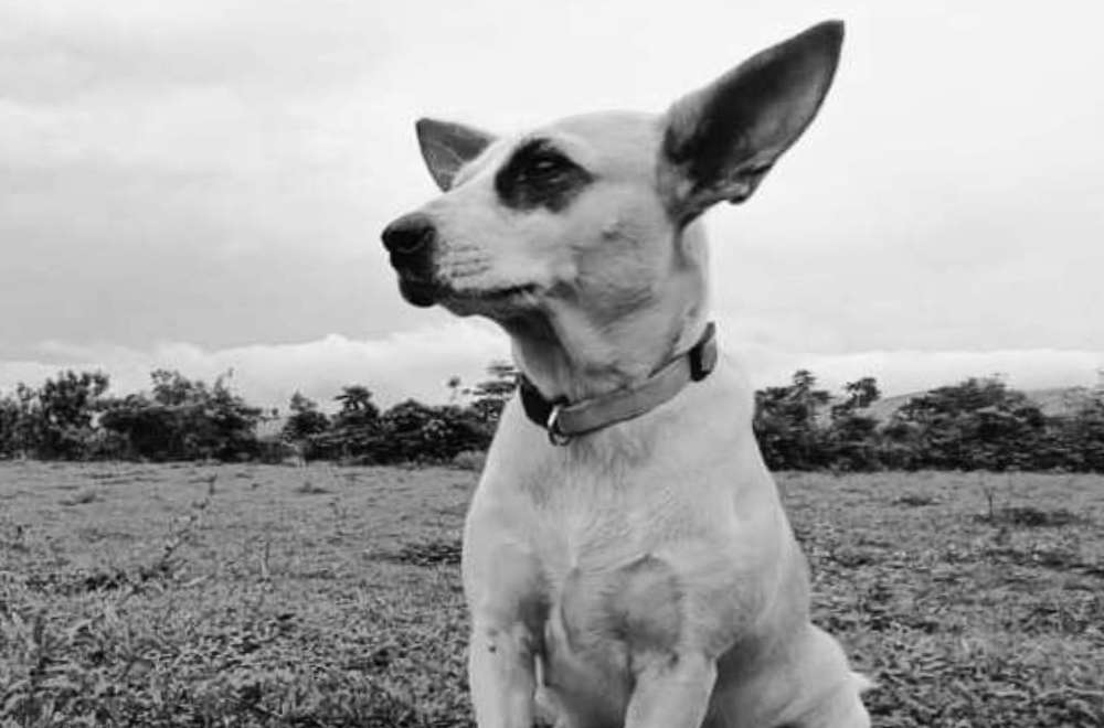 Photo Courtesy: Emmanuel Onsay