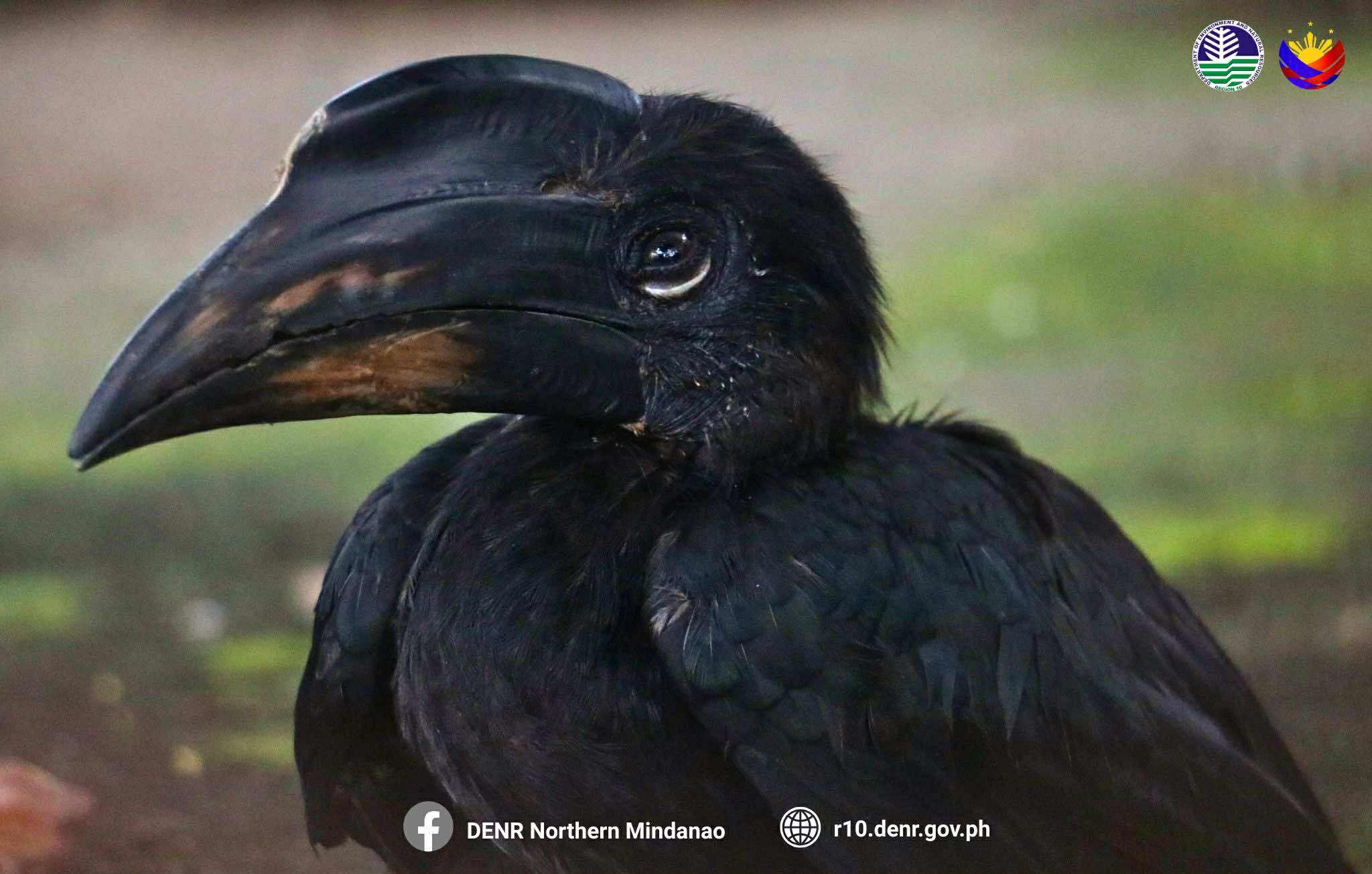 Photo courtesy: DENR-10