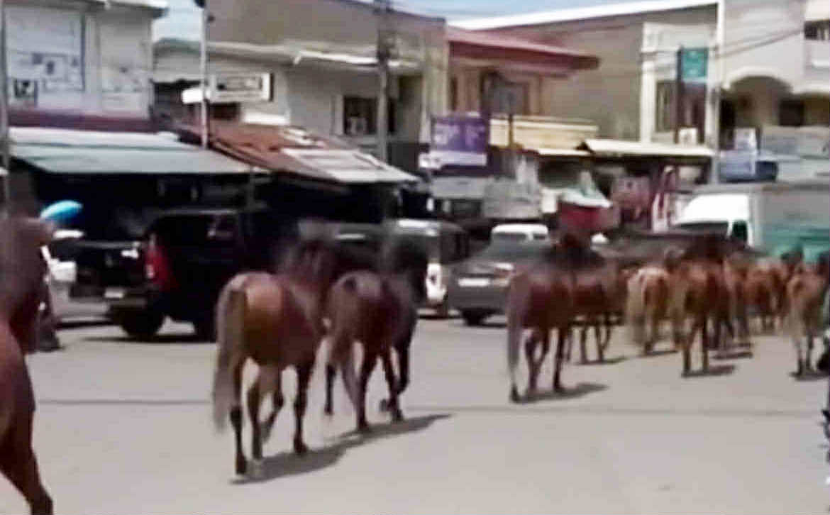 Image from video via Peter Paul Geltura