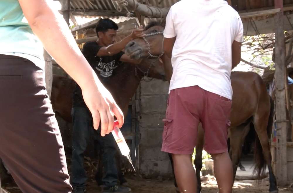 Photo via One North Central Luzon