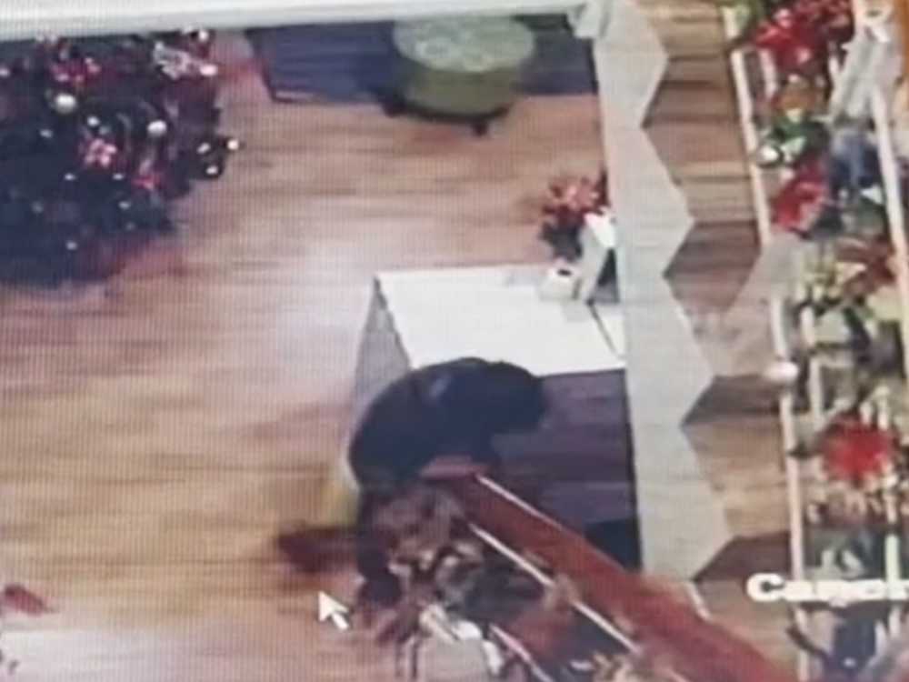 Photo Courtesy of Daraga MPS