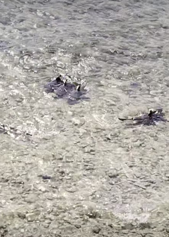 Image from Cris Oniong's video