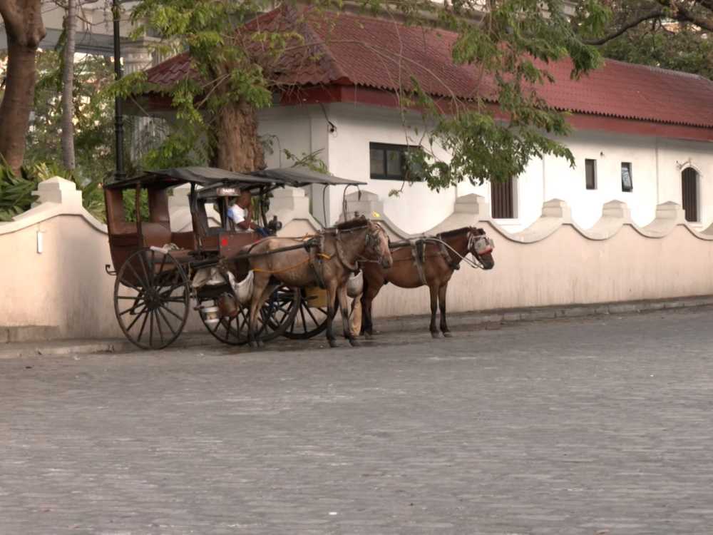 Photo via One North Central Luzon