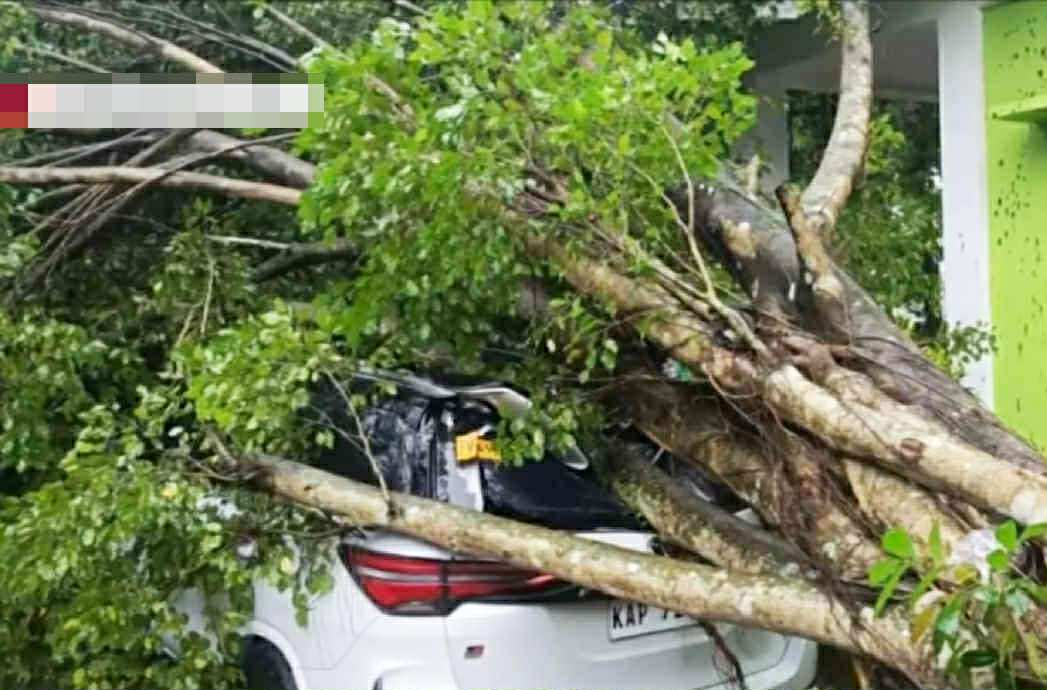 Photo via GMA Regional TV One Mindanao