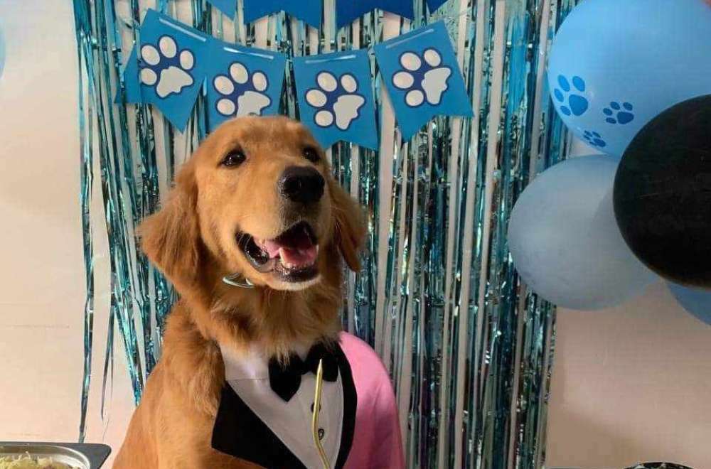 Photo via Balitang Bicolandia