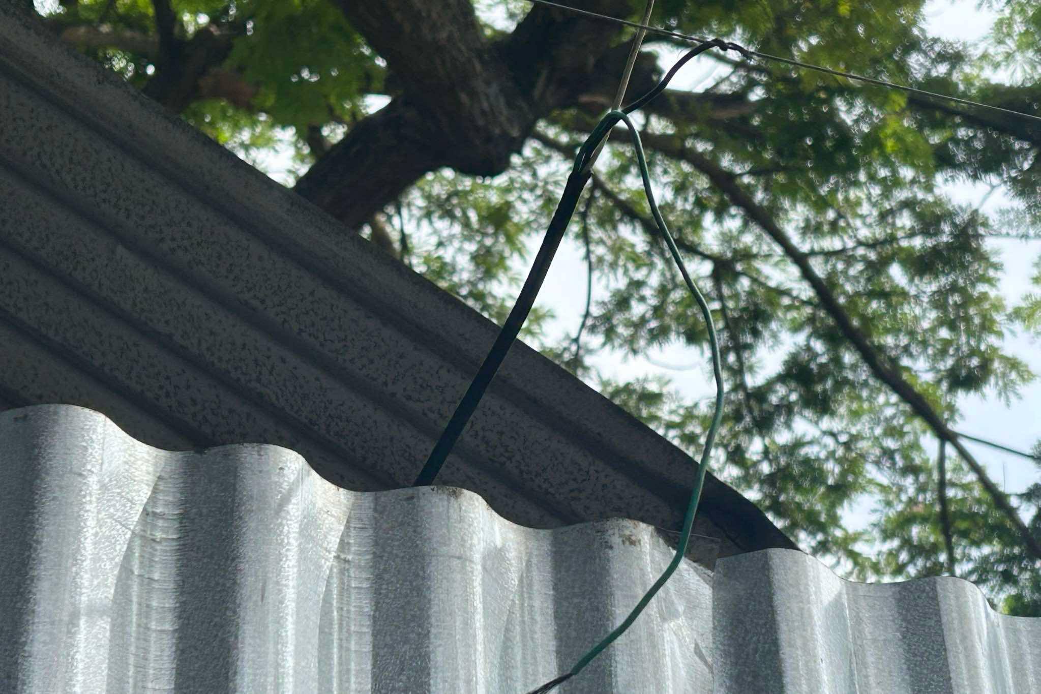 Photo courtesy: Ronem Jay Elaga Pinongpong