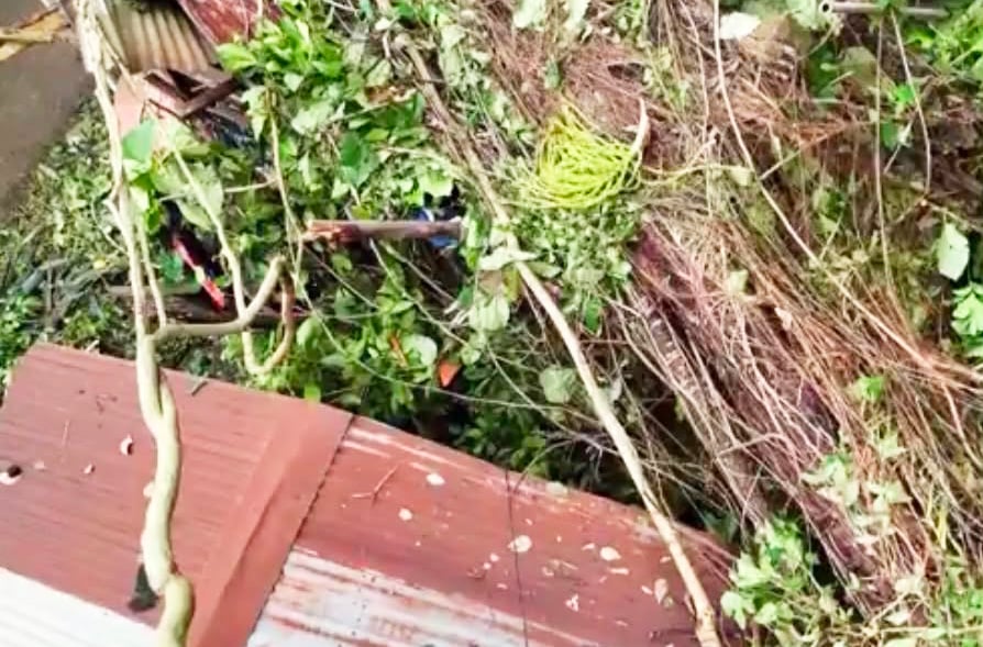 Image from video via GMA Regional TV One Mindanao