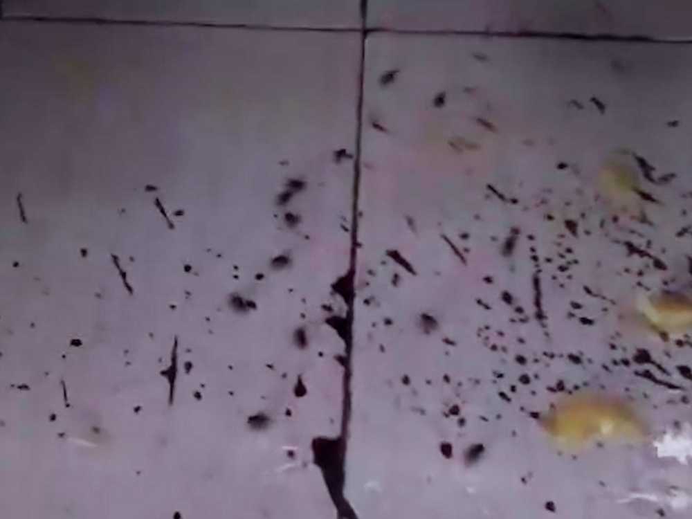 Photo Courtesy: Rhea Legaspi