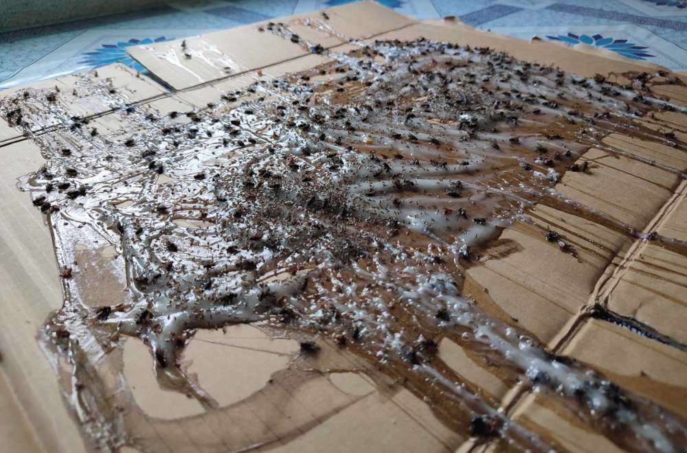 Photo via Balitang Bicolandia