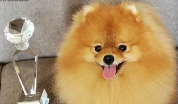 Photo courtesy: Jaclyn Claire Limtin-Buendia