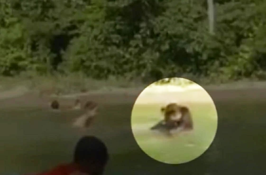 Image from video via Roble Balbuena Roble