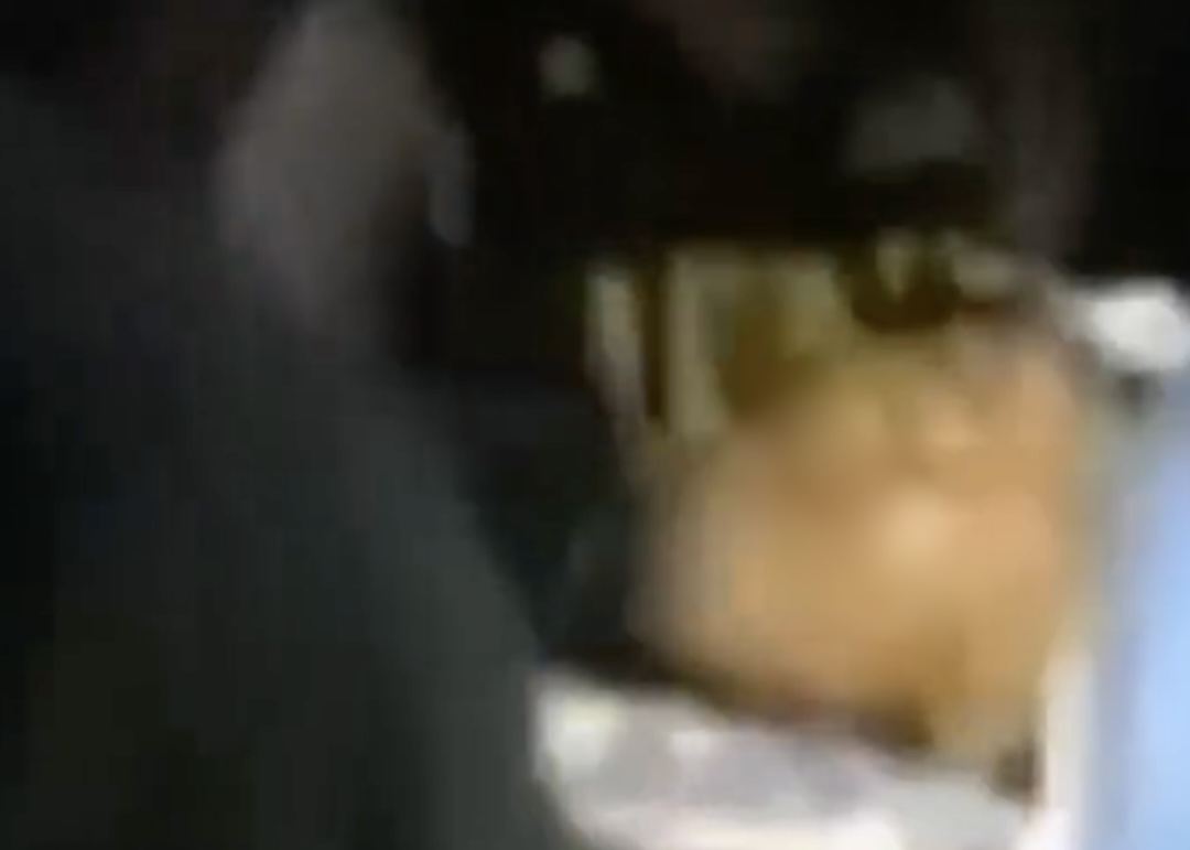 Image courtesy: Anthony Marlon Mecaral