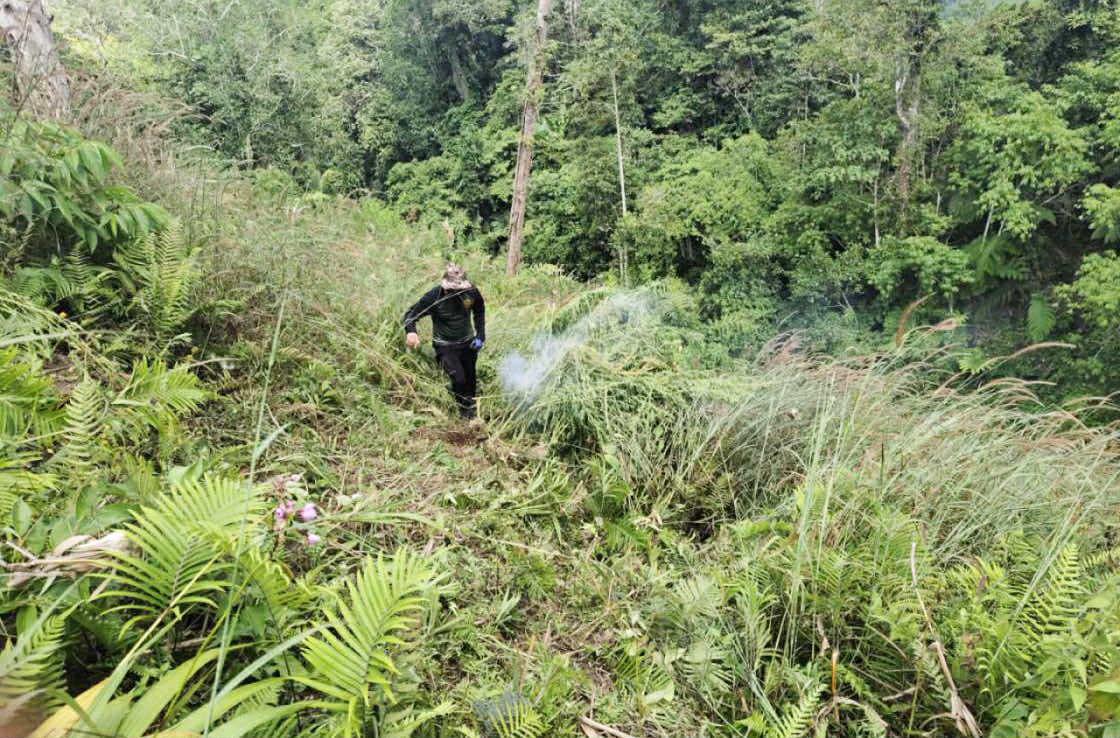 Photo courtesy: PDEA-12