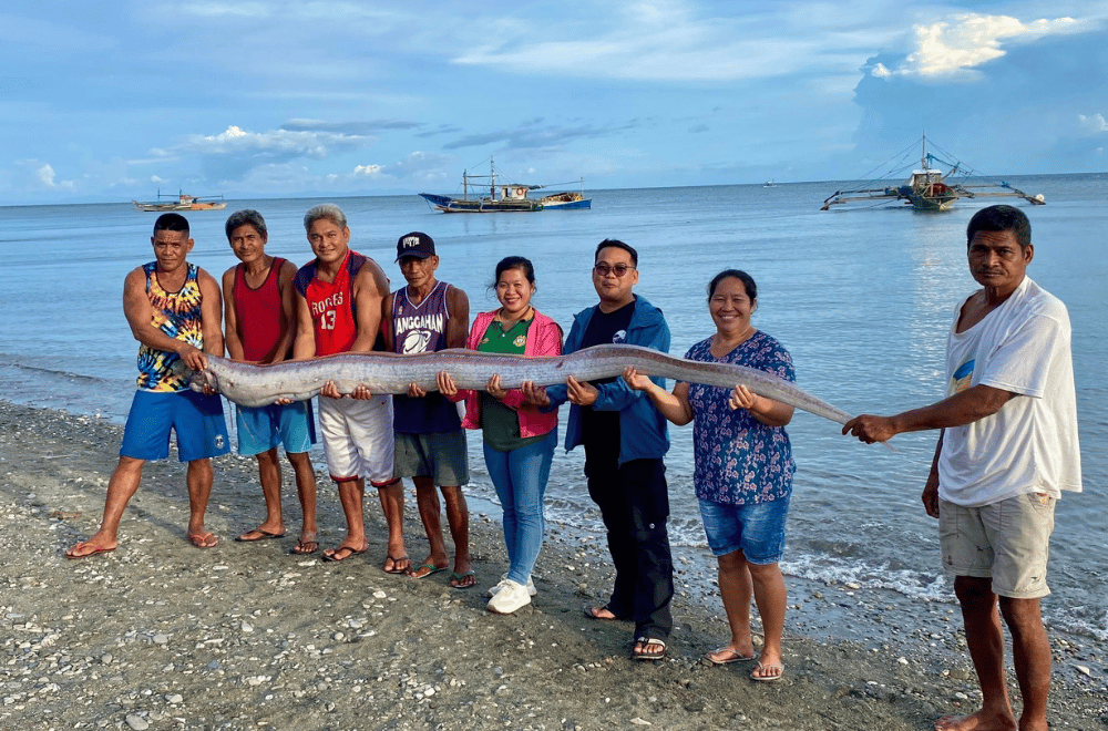 Photo courtesy: Municipal Agriculture Office Roxas
