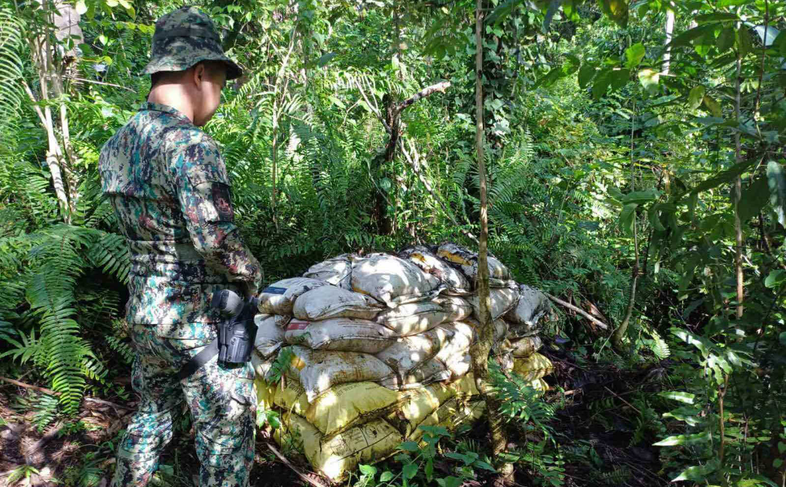 Photo courtesy: PRO-10