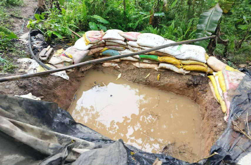 Photo courtesy: PRO-10