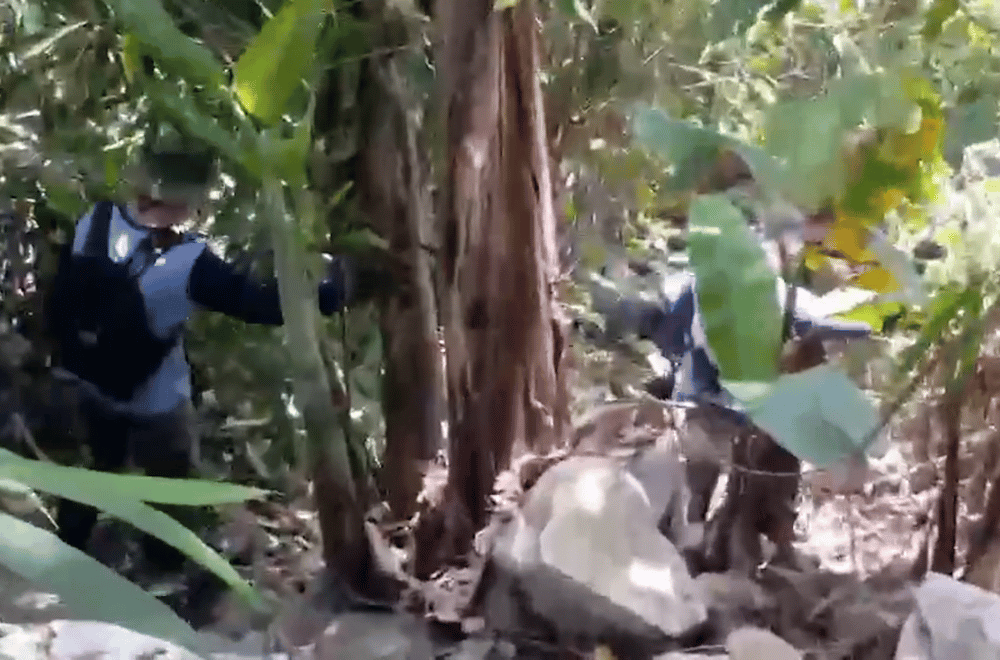 Photo courtesy: PRO-CAR