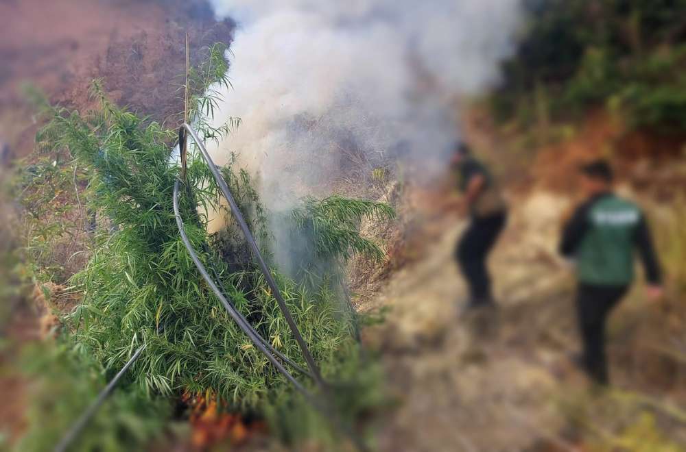 Photo Courtesy: PDEA Pangasinan