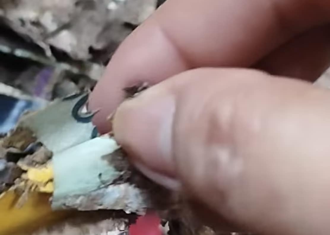 Image from Sherell Ampong video