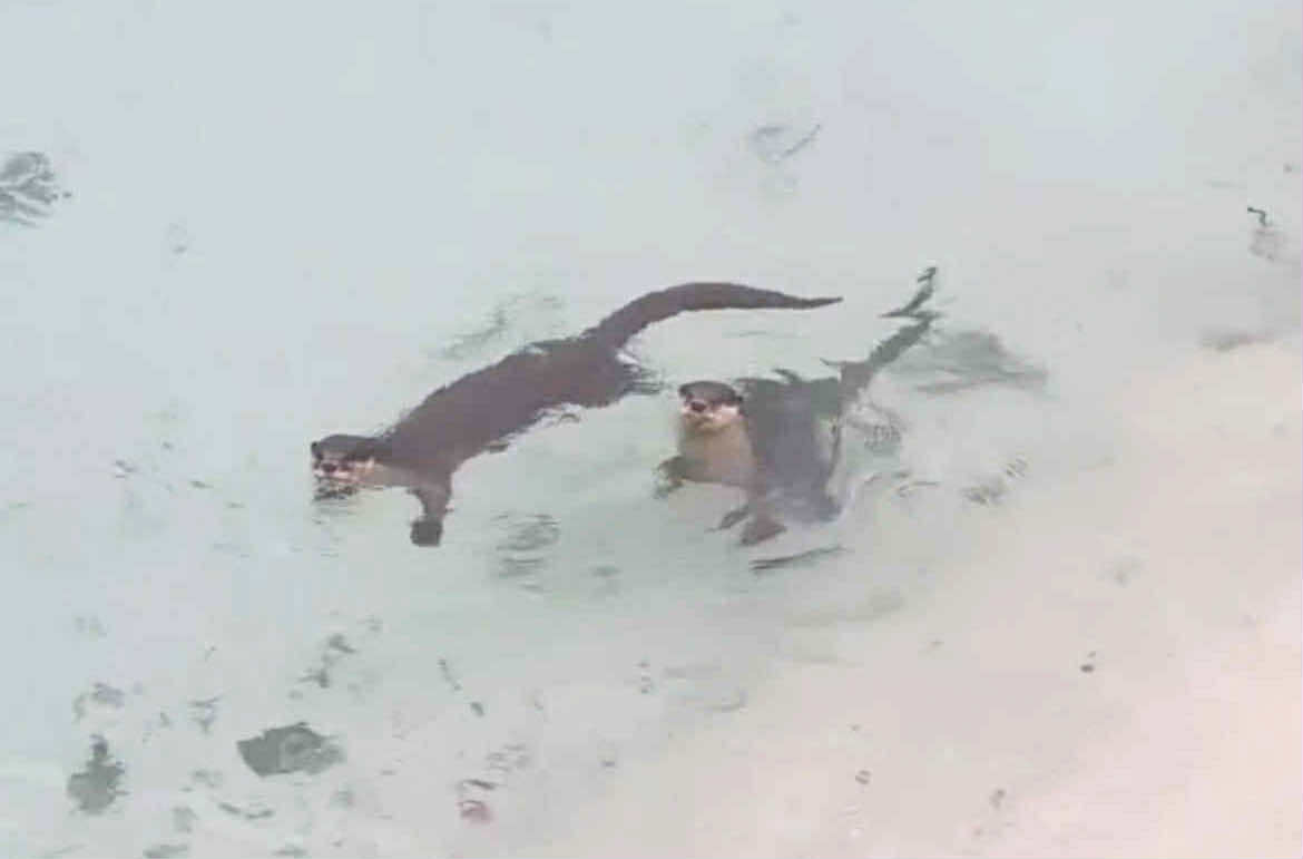 Image from video via Patrolman Mariben Khan