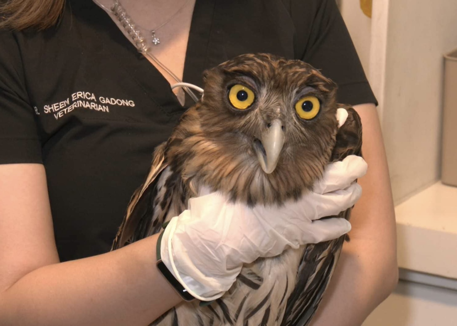 Image via GMA Regional TV One Mindanao