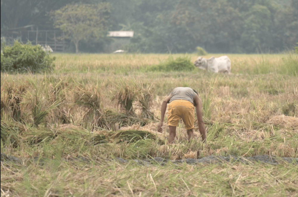 Photo via GMA Regional TV One North Central Luzon