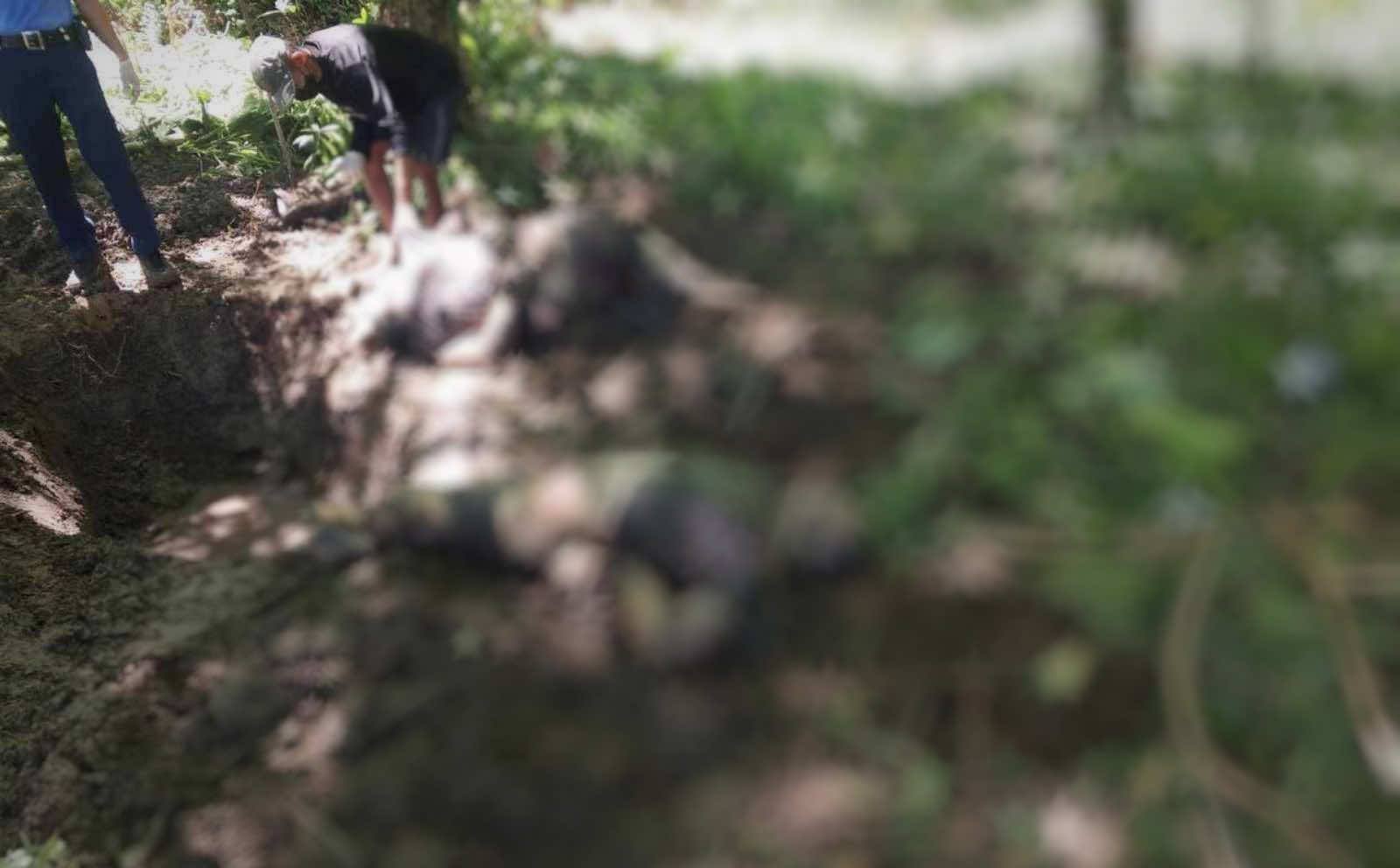 Photo courtesy: PRO-BAR